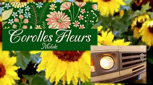 Corolle fleurs 