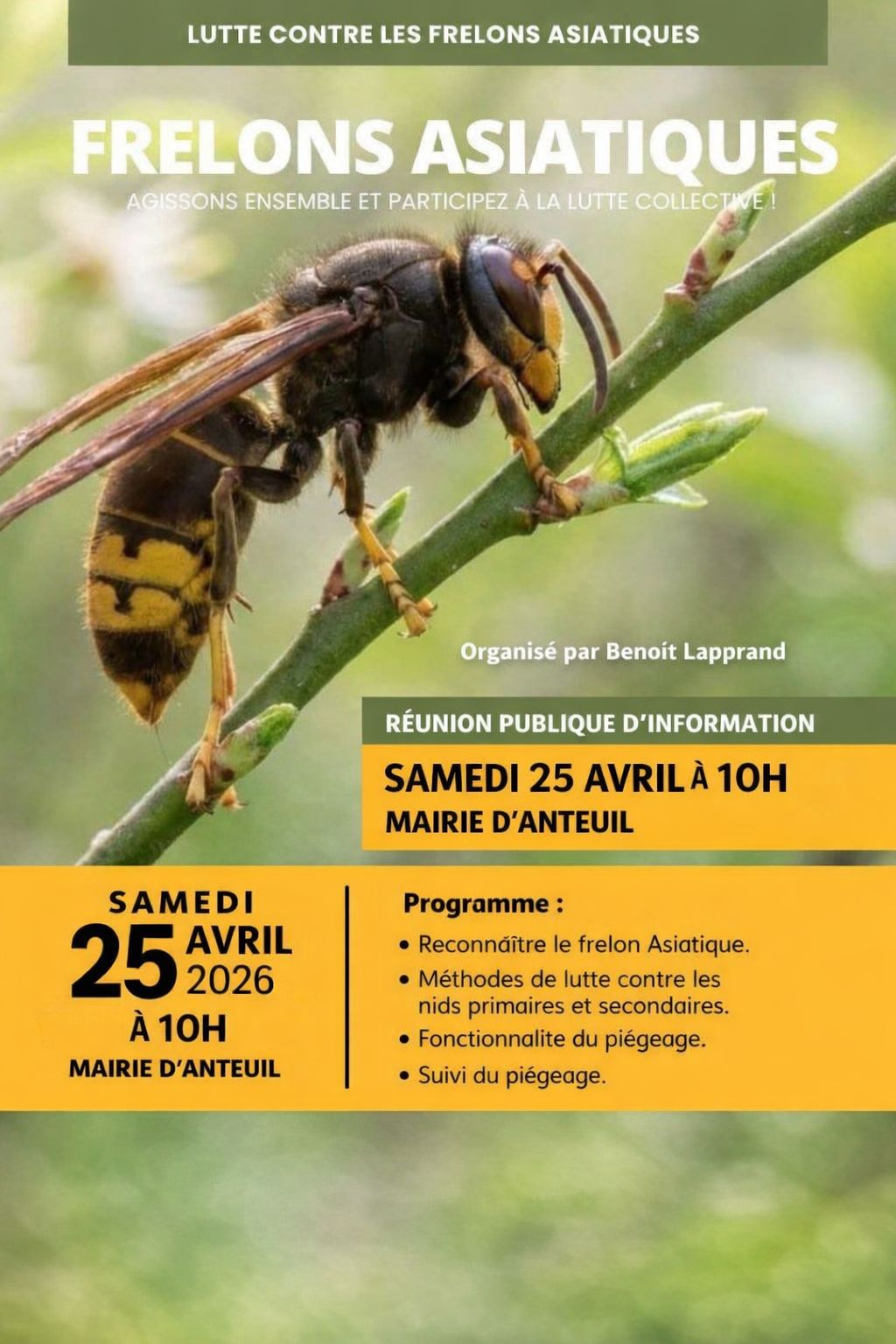 Réunion publique : le frelon asiatique